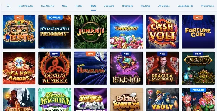 Choosing the Right Slots